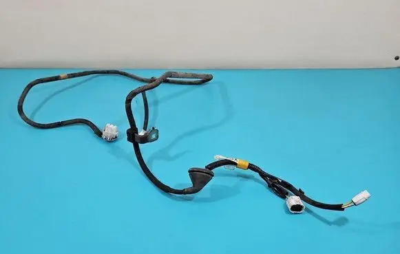 Other wiring loom
