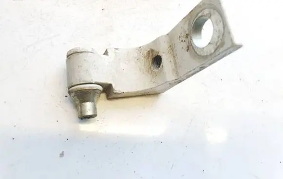 Fiat Punto (199) Rear door lower hinge