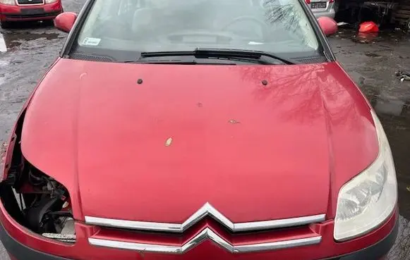Engine bonnet/hood