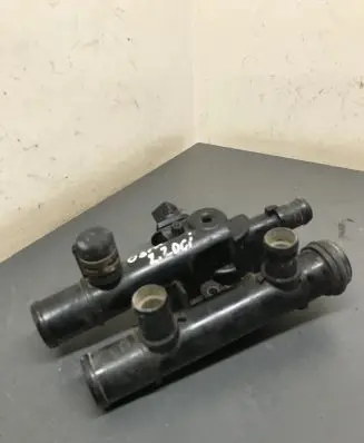 Thermostat/thermostat housing