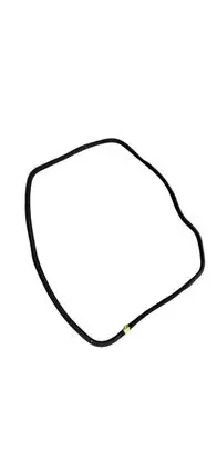 Chrysler Pacifica Rubber seal rear door 68313522AD