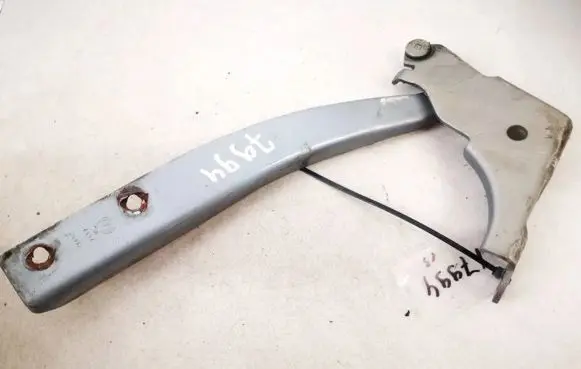 Fiat Punto (188) Engine bonnet/hood hinges a134
