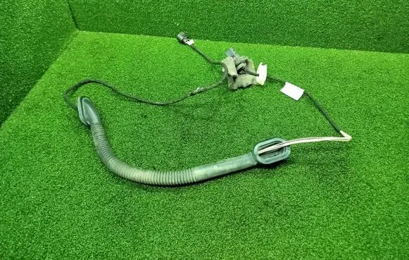 Rear door wiring loom