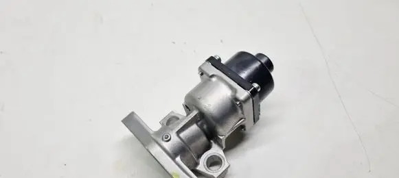 EGR valve