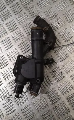 Thermostat/thermostat housing