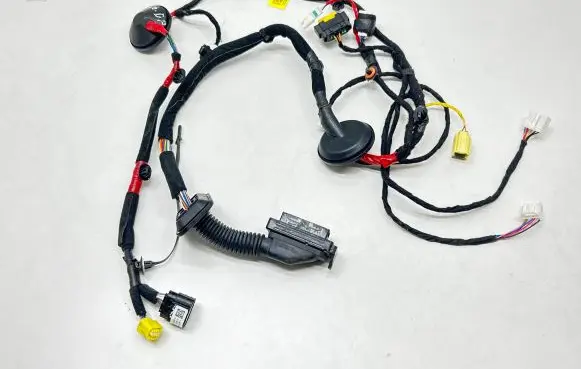 Front door wiring loom