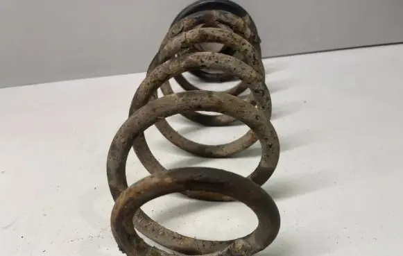 Seat Toledo II (1M) Rear coil spring
