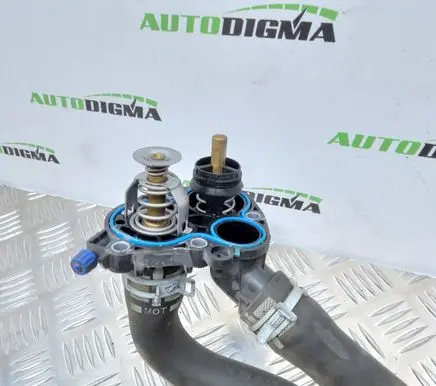 Thermostat/thermostat housing