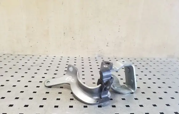Tailgate/trunk/boot hinge