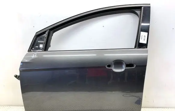 Ford Focus Front door 