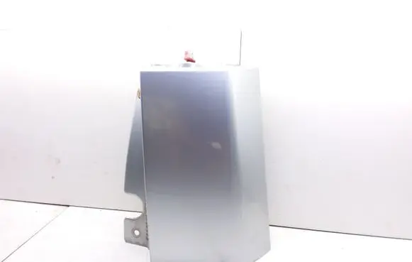 Rear/tail light trim molding