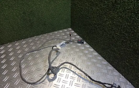 Other wiring loom