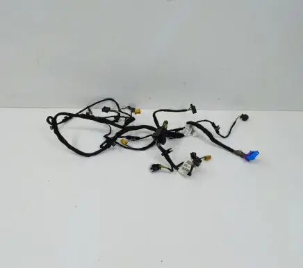 Front door wiring loom