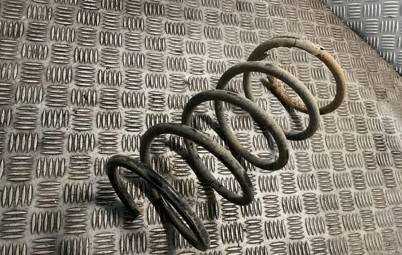 Hyundai Terracan Rear coil spring