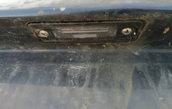 Volkswagen Golf V Number plate light