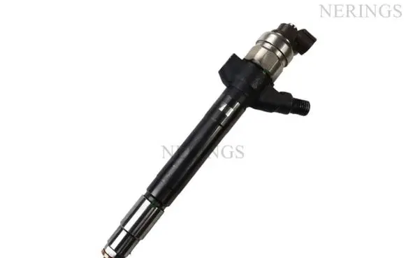 Citroen Jumper Fuel injector DCRI105800