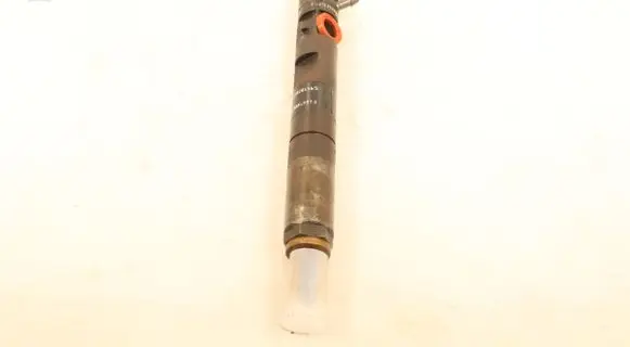 Renault Megane II Fuel injector EJBR01801Z
