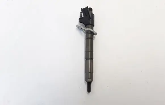 Volvo V60 Fuel injector 31303238