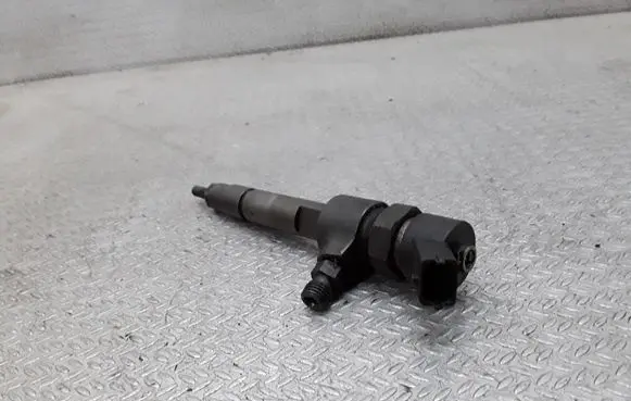 Fiat Multipla Fuel injector 0445110002
