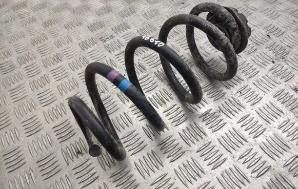Nissan Qashqai+2 Rear coil spring