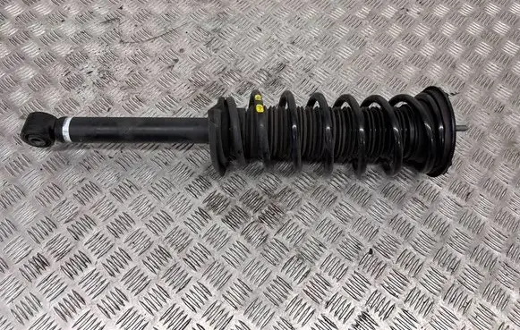 Toyota Mirai II Rear shock absorber/damper 4853062020