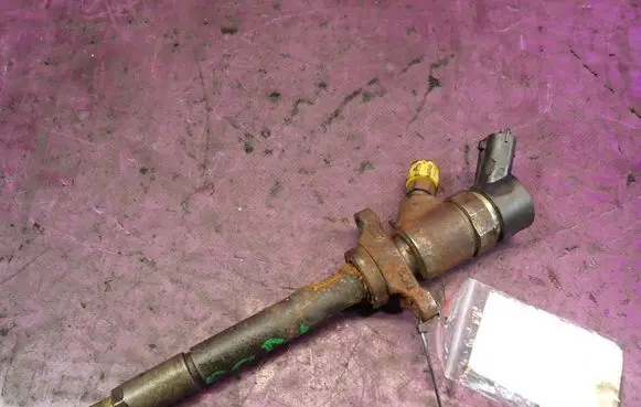 Citroen C4 I Fuel injector 