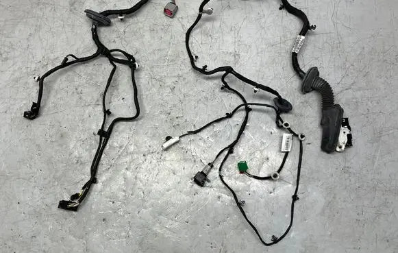Opel Insignia B Front door wiring loom 39133626
