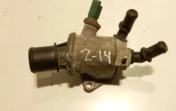 Thermostat/thermostat housing