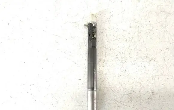 SsangYong Rexton Fuel injector EJBR04401D K52XX7 A665017