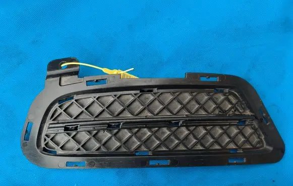 BMW Z4 E89 Front bumper lower grill 7203800