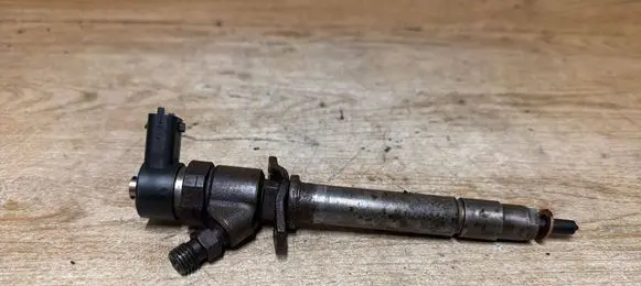 Volvo V70 Fuel injector 0445110078