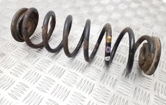 Volkswagen PASSAT B6 Rear coil spring