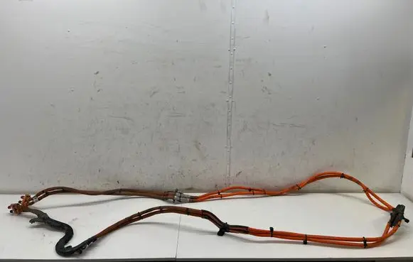 Porsche Panamera (971) Other wiring loom 971971015D