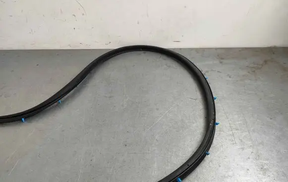 MG MG5 II Rubber seal rear door 103211420