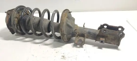 Hyundai Getz Front shock absorber with coil spring 546501C300 546301C201