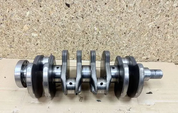 Fiat 500L Crankshaft 
