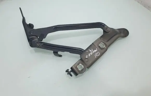 Tailgate/trunk/boot hinge