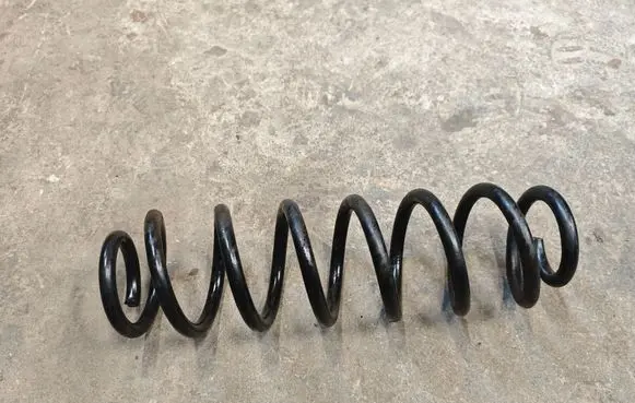 Rear coil spring