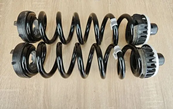 Rear coil spring