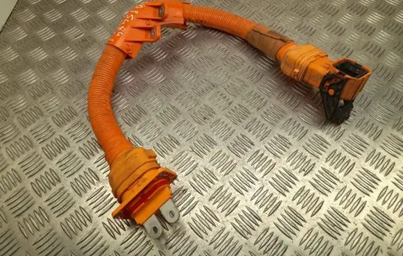 KIA EV6 Other wiring loom 91981GI100