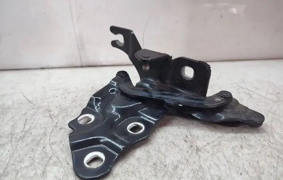 BMW X4 F26 Engine bonnet/hood hinges 7210730