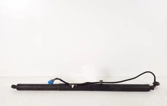 Tailgate strut