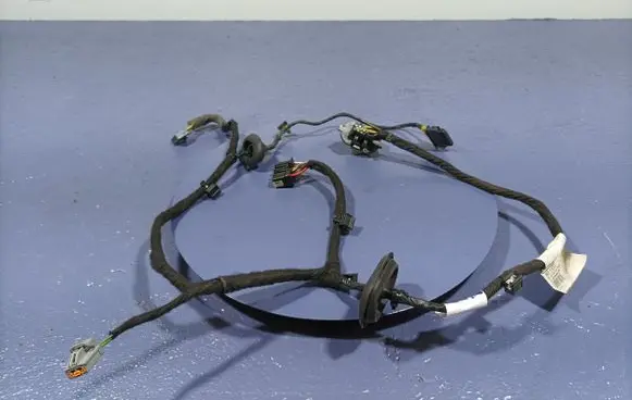 Volvo S90, V90 Other wiring loom 31483489