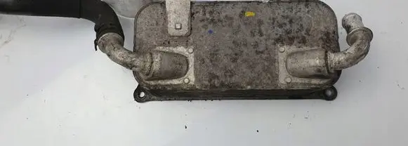 Porsche Panamera (970) Coolant radiator 94810720122