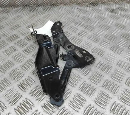Tesla Model X Engine bonnet/hood hinges 100962000L