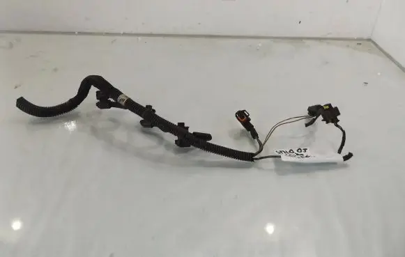 Fiat Stilo Fuel injector wires 