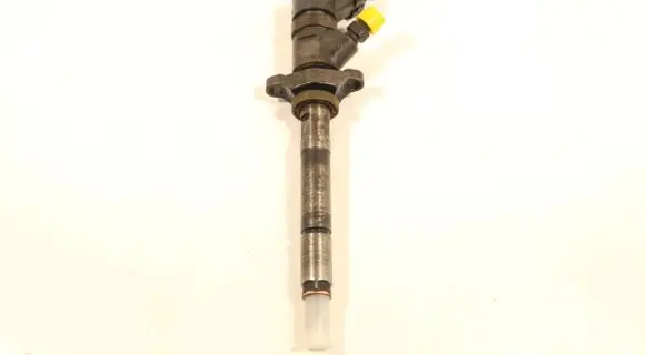 Ford C-MAX I Fuel injector 0445110259
