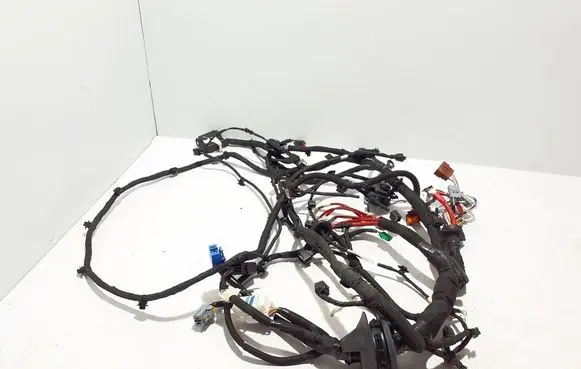 Renault Kangoo III Other wiring loom 403887616R