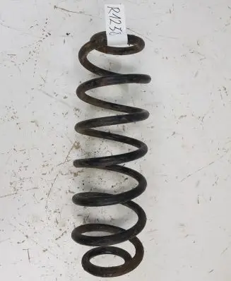 Volkswagen PASSAT B6 Rear coil spring