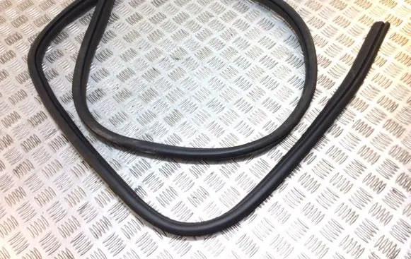 Ford Kuga II Front door rubber seal